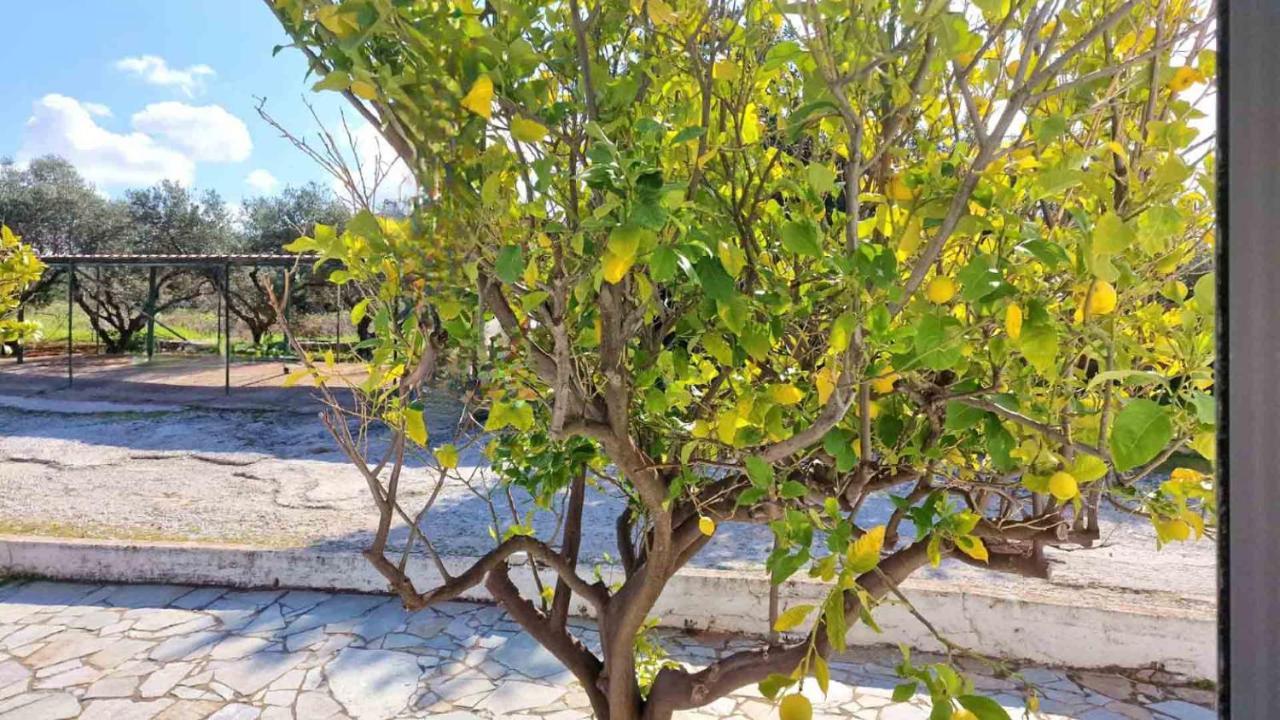 My Cretan Village By Go4Sea Chorafakia Exterior photo